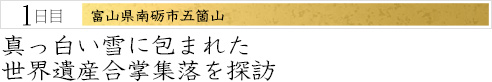 １日目｜富山県南砺市五箇山｜真っ白い雪に包まれた世界遺産合掌集落を探訪