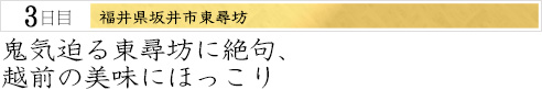 ３日目｜福井県坂井市東尋坊｜鬼気迫る東尋坊に絶句、越前の美味にほっこり