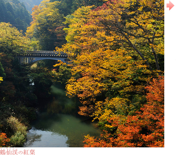 鶴仙渓(かくせんけい)の紅葉