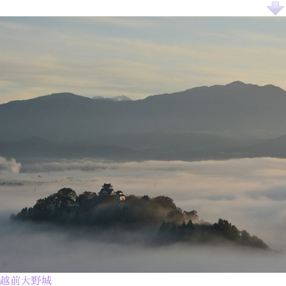 越前大野城