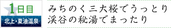 1日目｜北上・夏油温泉｜みちのく三大桜でうっとり 渓谷の秘湯でまったり
