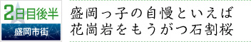 2日目後半｜盛岡市街｜盛岡っ子の自慢といえば 花崗岩をもうがつ石割桜