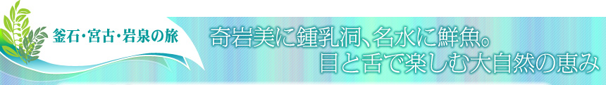 釜石・宮古・岩泉の旅｜奇岩美に鍾乳洞、名水に鮮魚。目と舌で楽しむ大自然の恵み
