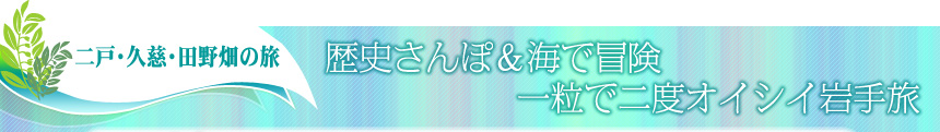 二戸・久慈・田野畑の旅 ｜歴史さんぽ＆海で冒険 一粒で二度オイシイ岩手旅