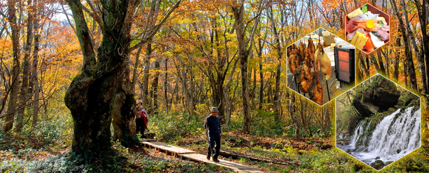 秋の日帰り＆1泊旅 トクトクきっぷで行く 紅葉ウォーキング