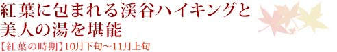 紅葉に包まれる渓谷ハイキングと美人の湯を堪能【紅葉の時期】10月下旬～11月下旬