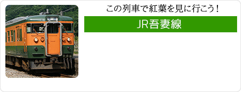 この列車で紅葉を見に行こう！　JR吾妻線