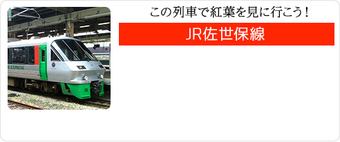 この列車で紅葉を見に行こう！　JR佐世保線