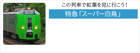 この列車で紅葉を見に行こう！特急「スーパー白鳥」