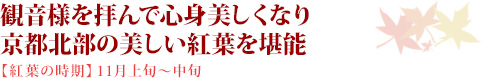 観音様を拝んで心身美しくなり京都北部の美しい紅葉を堪能【紅葉の時期】11月上旬～中旬