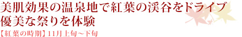 美肌効果の温泉地で紅葉の渓谷をドライブ優美な祭りを体験【紅葉の時期】11月上旬～下旬