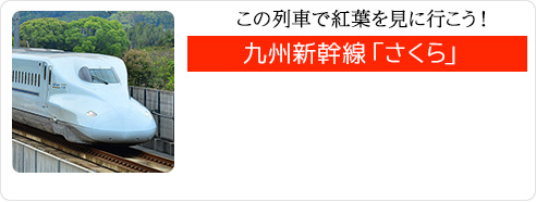 この列車で紅葉を見に行こう！九州新幹線「さくら」