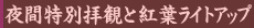 夜間特別拝観と紅葉ライトアップ