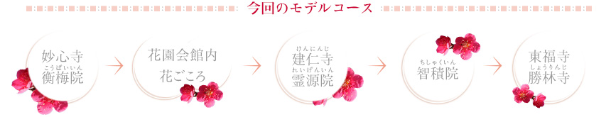 今回のモデルコース｜「妙心寺 衡梅院(こうばいいん)」→「花園会館内 花ごころ」→「建仁寺(けんにんじ) 霊源院（れいげんいん)」→「智積院(ちしゃくいん)」→「東福寺 勝林寺(しょうりんじ)」