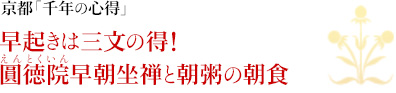 京都「千年の心得」｜早起きは三文の得！圓徳院（えんとくいん）早朝坐禅と朝粥の朝食
