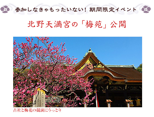 参加しなきゃもったいない！　期間限定イベント｜北野天満宮の「梅苑」公開