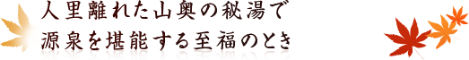 人里離れた山奥の秘湯で厳選を堪能する至福のとき