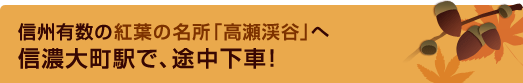 信州有数の紅葉の名所「高瀬渓谷」へ 信濃大町駅で、途中下車！