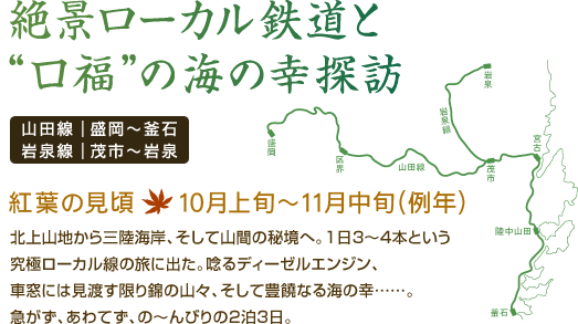 絶景ローカル鉄道と“口福”の海の幸探訪 山田線&岩泉線｜盛岡～釜石、茂市～岩泉 紅葉の見頃：10月上旬～11月中旬　（例年） 北上山地から三陸海岸、そして山間の秘境へ。1日3～4本という究極ローカル線の旅に出た。唸るディーゼルエンジン、車窓には見渡す限り錦の山々、そして豊饒なる海の幸……。急がず、あわてず、の～んびりの2泊3日。