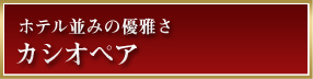 ホテル並みの優雅さ カシオペア