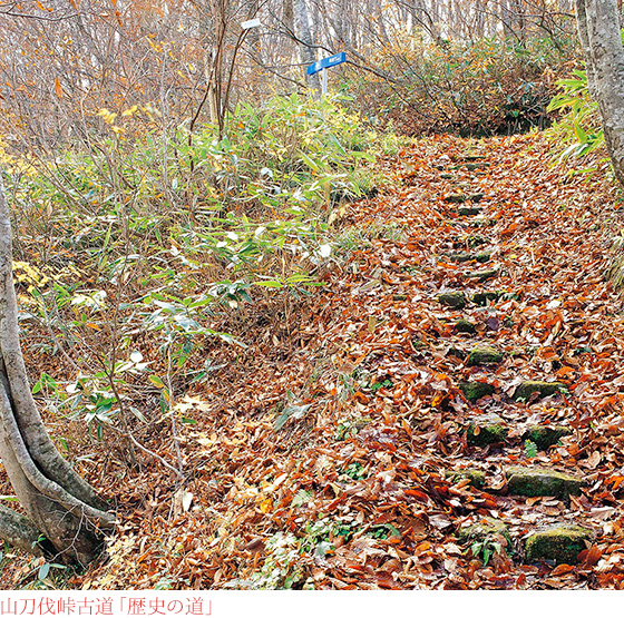 山刀伐峠古道「歴史の道」