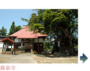 養泉寺