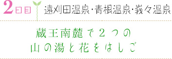 ２日目｜遠刈田温泉・青根温泉・峩々温泉｜蔵王南麓で２つの山の湯と花をはしご