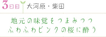 ３日目｜大河原・柴田｜地元の味覚をつまみつつふわふわピンクの桜に酔う