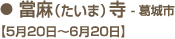 當麻（たいま）寺【5月20日～6月20日、葛城市】