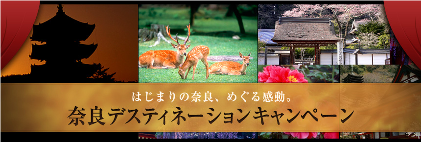 うまさぎっしり新潟「新潟デスティネーションキャンペーン」開催！キャンペーン期間 平成21年10月1日（木）～12月31日（木）