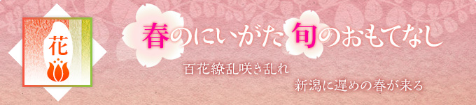 百花繚乱咲き乱れ新潟に遅めの春が来る