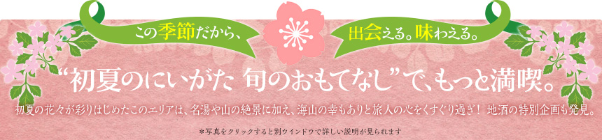 この季節だから、出会える。味わえる。“初夏のにいがた　旬のおもてなし”で、もっと満喫。