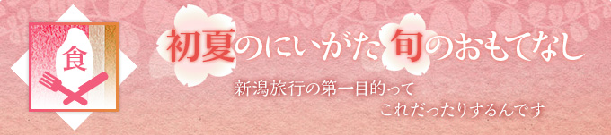 新潟旅行の第一目的ってこれだったりするんです
