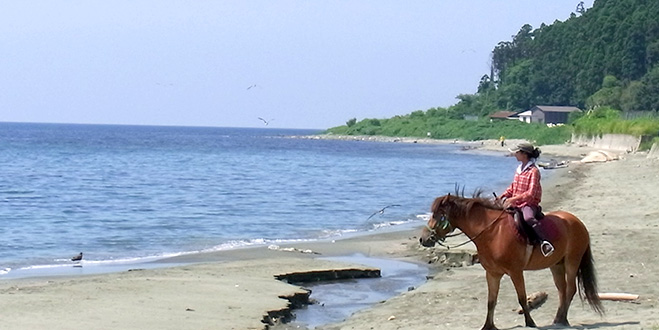 馬にのっての浜辺散歩は
開放感抜群です