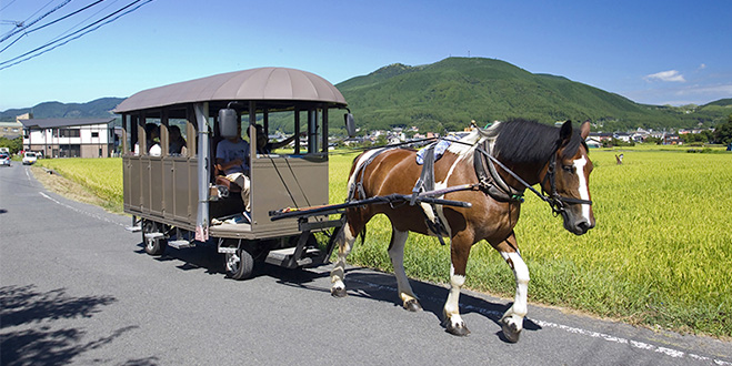 のどかな田園地帯を行く
馬車に揺られスロートラベル

