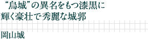 “烏城”の異名をもつ漆黒に輝く豪壮で秀麗な城郭｜岡山城