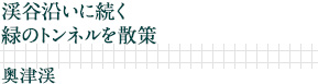 渓谷沿いに続く緑のトンネルを散策｜奥津渓