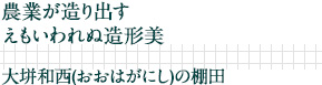 農業が造り出すえもいわれぬ造形美｜大垪和西(おおはがにし)の棚田