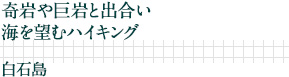奇岩や巨岩と出合い海を望むハイキング｜白石島