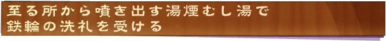 至る所から噴き出す湯煙むし湯で鉄輪の洗礼を受ける