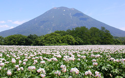 羊蹄山