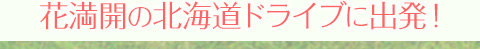 花満開の北海道ドライブに出発！ 
