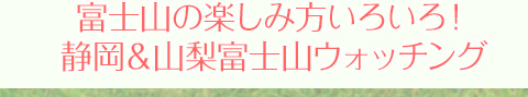 富士山の楽しみ方いろいろ！静岡＆山梨富士山ウォッチング