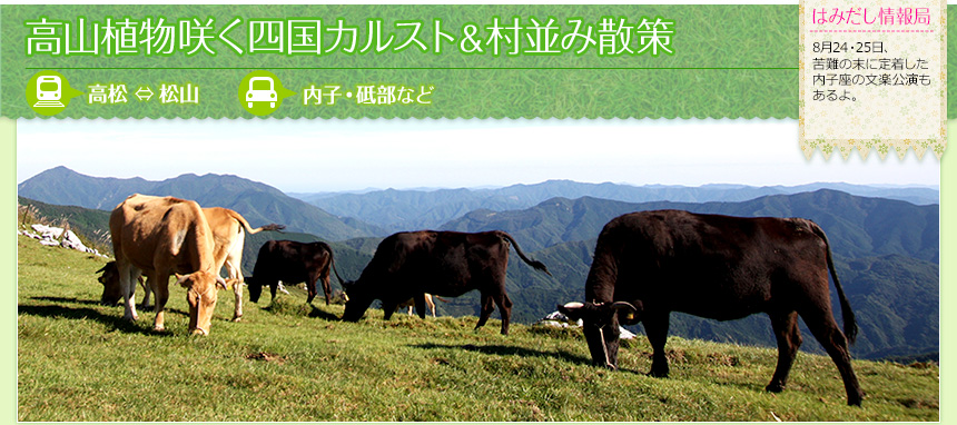 高山植物咲く四国カルスト＆村並み散策｜（鉄道）高松 ⇔ 松山（車）内子・砥部など