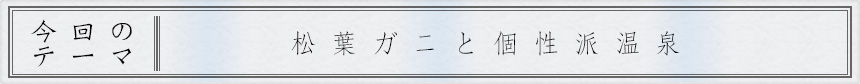 今回のテーマ｜松葉ガニと個性派温泉