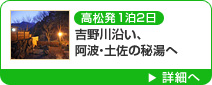 高松発1泊2日 吉野川沿い、阿波・土佐の秘湯へ