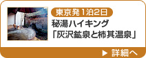 東京発1泊2日 秘湯ハイキング「灰沢鉱泉と柿其温泉」