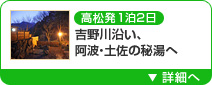 高松発1泊2日 吉野川沿い、阿波・土佐の秘湯へ