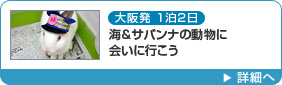 大阪発1泊2日 海&サバンナの動物に会いに行こう！