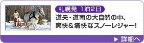 札幌発 1泊2日 道央・道南の大自然の中、爽快＆痛快なスノーレジャー！